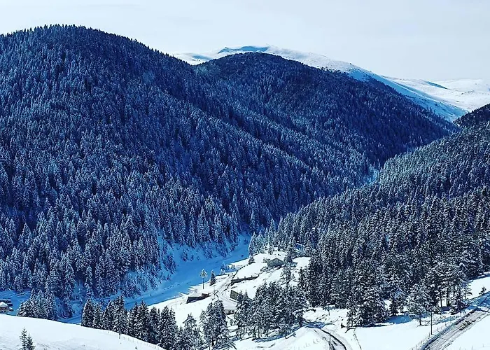 Szálloda Seyir Yeri 3*