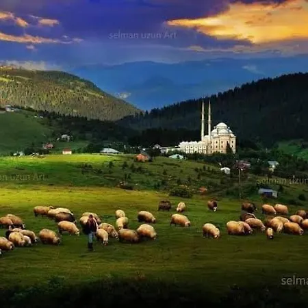 Seyir Yeri Cafe&restorant